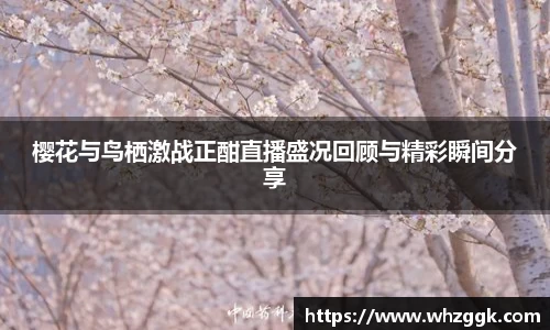 ok138太阳成集团