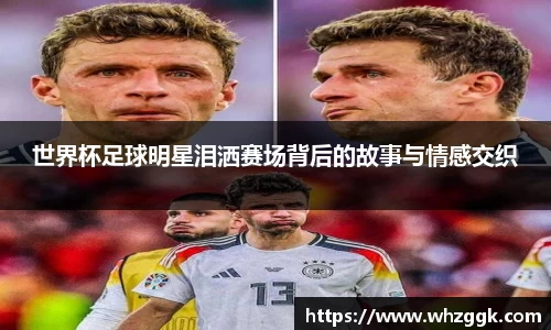 ok138太阳成集团